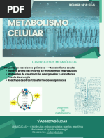 Metabolismo Celular