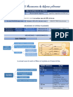 4-sesion-12-mecanismos-de-respiracion-pulmonar