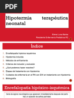 2023 - Hipotermia Terapeutica Neonatal