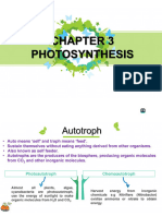 3 - Photosynthesis