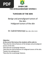 Tumors of The Skin