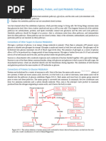 10.5 - Connections of Carbohydrate, Protein, and Lipid Metabolic Pathways - Chemistry LibreTexts