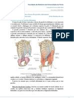 Aula 08. Musculos e Fascias Das Paredes Abdominais. Sua Vascularizacao e Enervacao