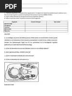 Tema 09. Orgánulos Membranosos-Preguntas EBAU 20.21