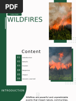 Wildfires