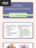 Sistema Cardiaco