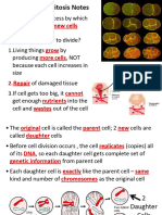 Cell Cycle