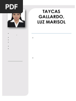 CV Marisollima