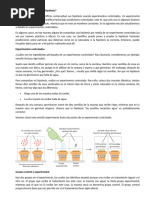 Como Se Comprueban Las Hipotesis