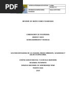 Informe de Inspecciones Planeadas Amodespu-1