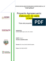 Desarrollo Del Proyecto Avance German