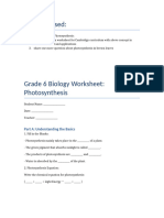 Grade 6 Biology Photosynthesis Worksheet