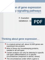 4-Regul Signals