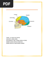 ANATOMIA Maria Elena