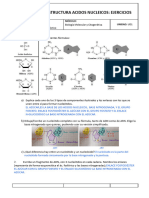 Ejercicios Estructura Acidos Nucleicos