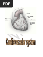 Physio by DR - Maher (CVS) (Heart)