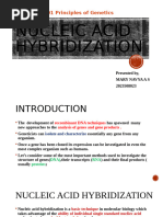 Nucleic Acid Hybridization: GPB 501 Principles of Genetics