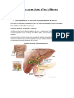 Trabajo practico vias biliares (1)