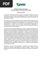 Reunión Del Grupo de Trabajo Ciudad de México, 29 de Septiembre de 2024 Declaración Final