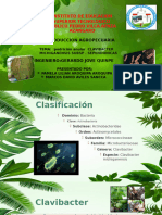 Clavibacter EXPOSICION