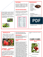 Triptico de CAMU CAMU