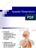 8. Aparato Respiratorio