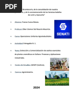 Entregable 1 - Extracción y Comercialización de Aceites Esenciales en Plantas - Cueva Nieves Franco