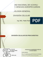 Clase8-División Celular