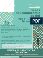 Power Bases Neuro