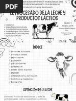 El Procesado de La Leche y Productos Lácteos.