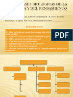 Tema - 2ppt Bases Biolc3b3gicas de La Conducta