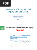 Cell Injury 4&5