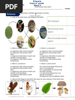 Science Exam 6° Block 3