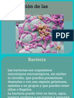 Clasificaciondebacterias 151012230422 Lva1 App6891