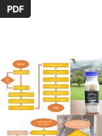 Expo Leche Fermentadas