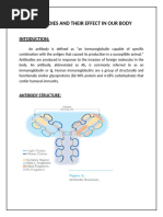 Antibodies and Their Effect in Our Body 2