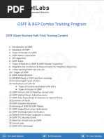 OSPF + BGP Course Content