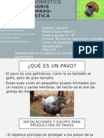 Instalaciones y Equipo para Pavos