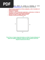 Formato de Reporte Final