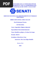 Tarea N°3 Identificar Peligros y Evaluar Los Riesgos