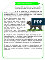 F. El Oso de Anteojos