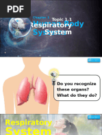 Topic 1.1 Respiratory System