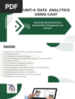 Data Analytics Using Caat Tools-Ms Excel