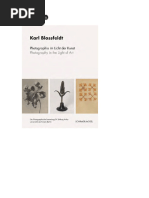 Karl Blossfeldt - Photography in The Light of Art