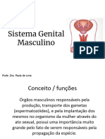 Aula 9. Sist Genital Masc