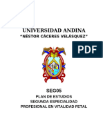 MV1. Seg05 - Plan Estud Obst - Vitalidad Fetal