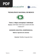 Ingenieria de Sistemas Mapa Conceptual