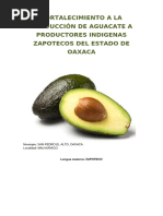 Fortalecimiento A La Producción de Aguacate A Productores Indigenas Zapotecos Del Estado de Oaxaca