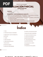 Examen Parcial - Proyecto de Branding PDF