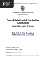 Trabajo Final - Posgrado Salud Mental Hospital Rivadavia